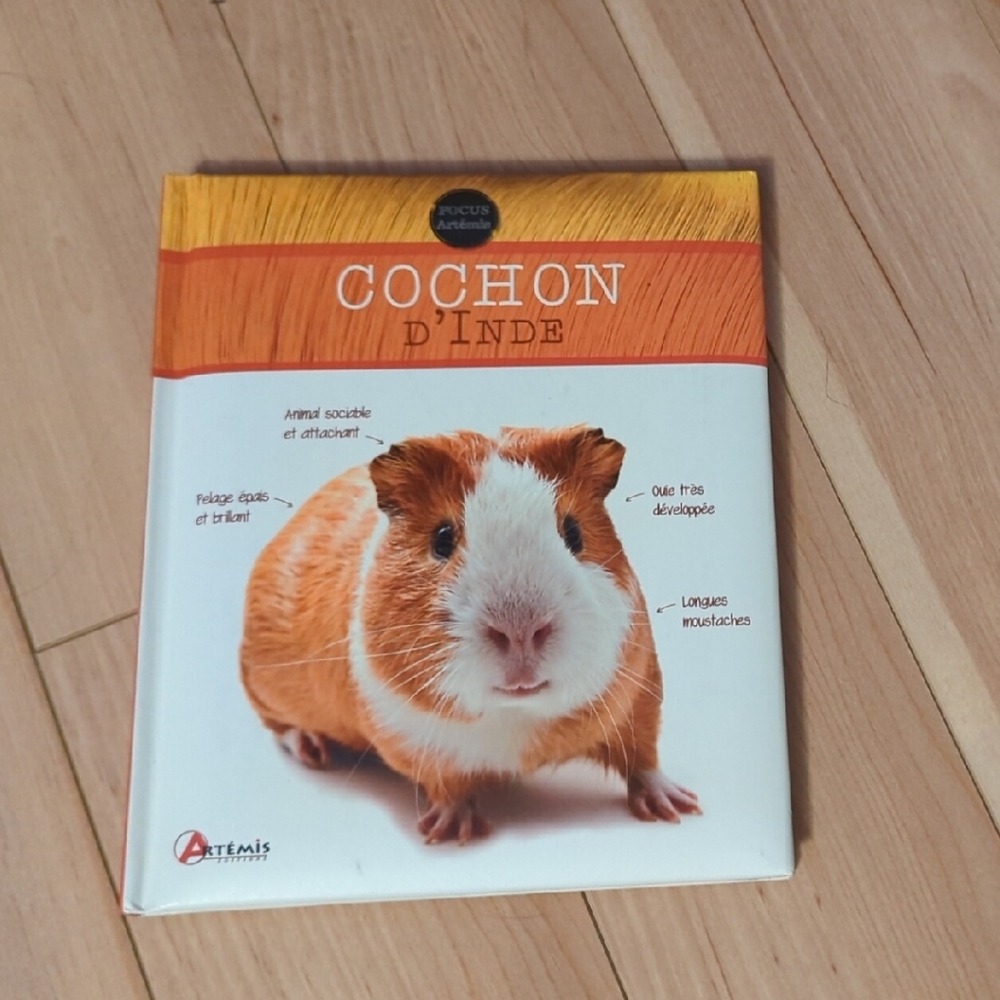 Guinea Pig Care Guide *IN FRENCH